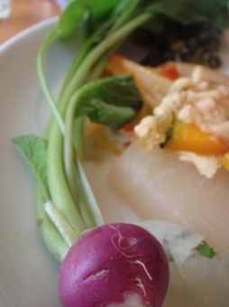 yasaibatake radish