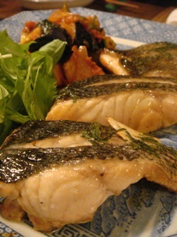 yamaneko fish