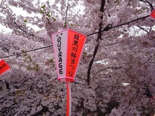 目黒川　花見