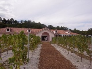 azumino winery