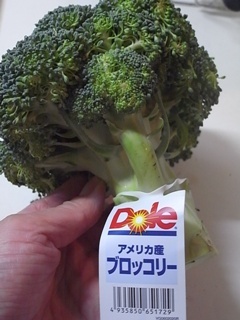 dolo broccoli
