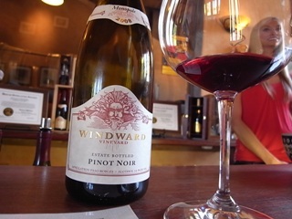 windward pinor noir