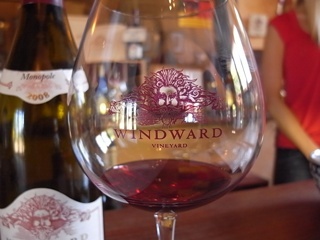 windward glass
