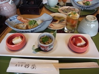 hashiba fu