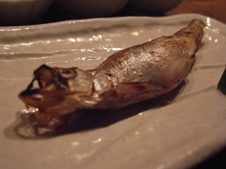 galari