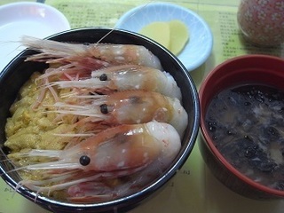 R0038411.JPG