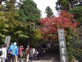 R0038621.JPG