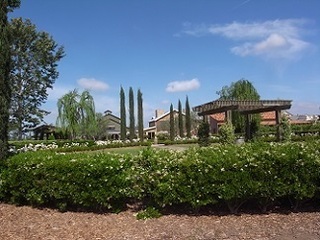 R0038680.JPG