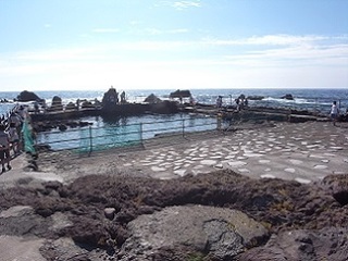 R0038781.JPG