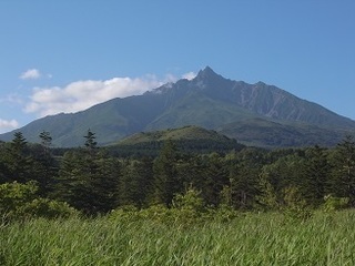 R0038791.JPG