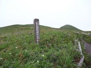 R0038822.JPG